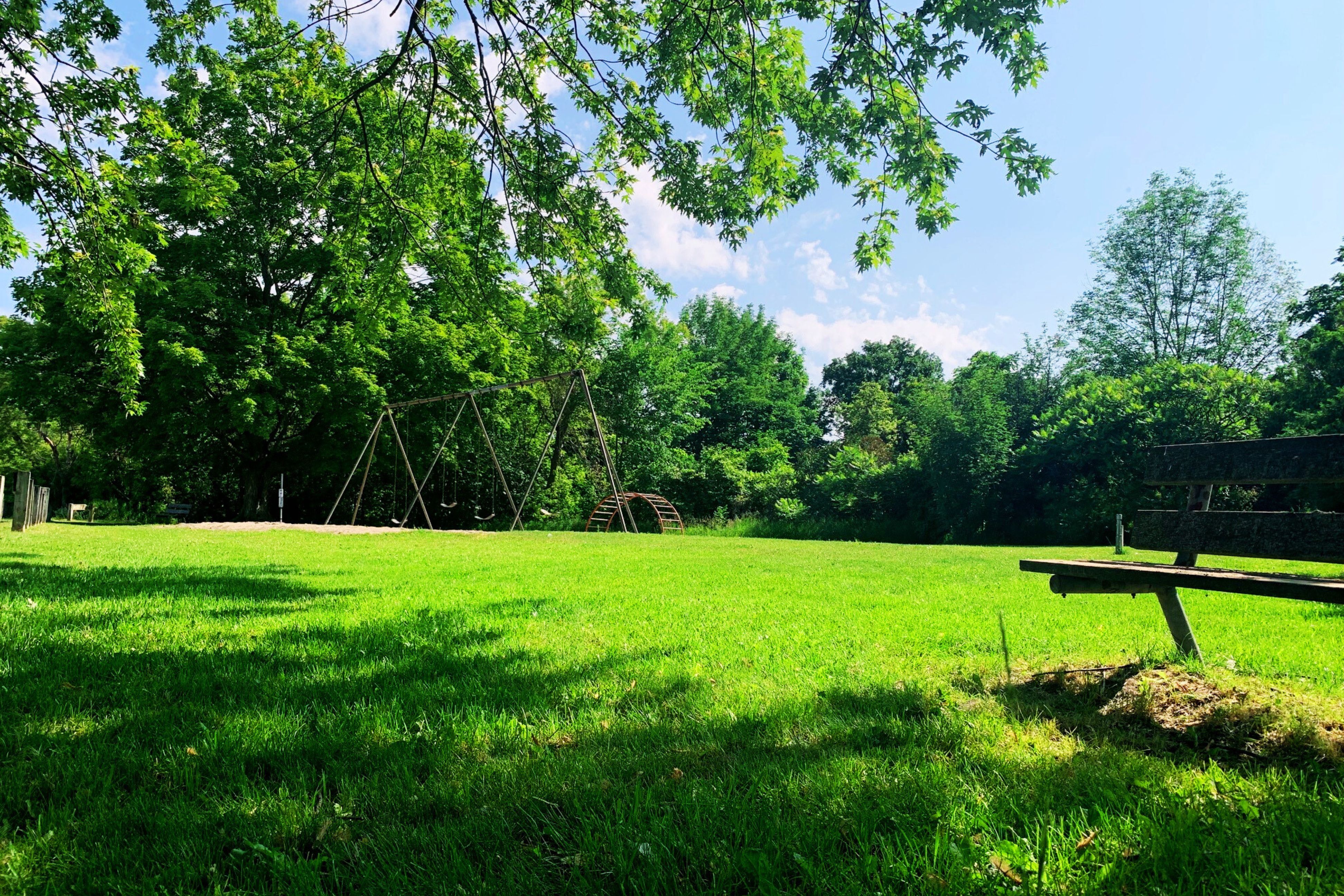 Green grass, with trees, a park bench and swing set in the back